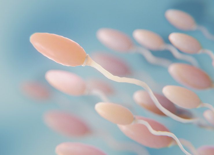 Μελέτη βρίσκει μικροπλαστικά σε κάθε δείγμα ανθρώπινου σπέρματος!