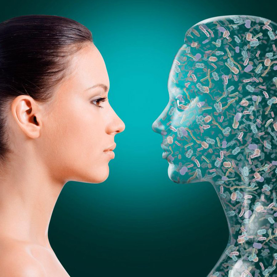 © ILLUSTRATION BY STEVEN H. LEE / HEALTHY HUMAN MICROBIOME