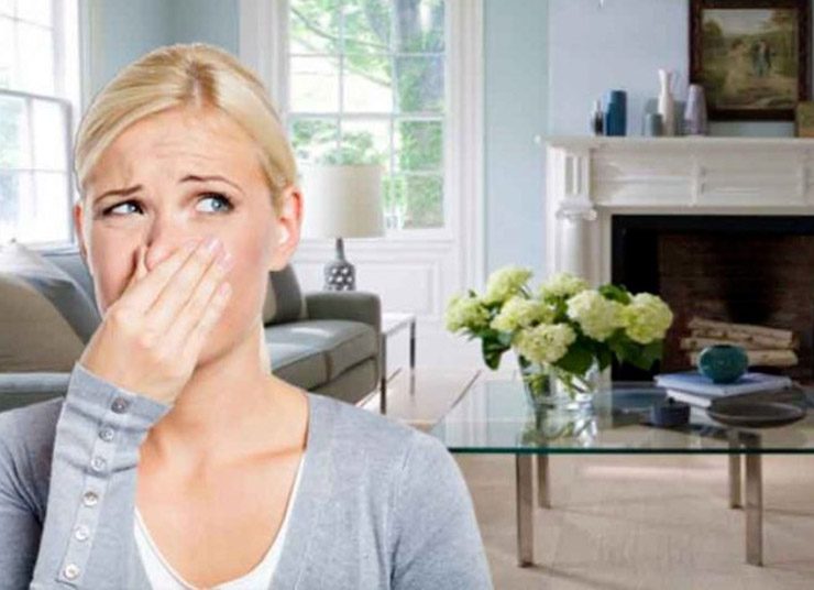 Πώς να απαλλαγείτε από τις μυρωδιές μούχλας στο σπίτι σας