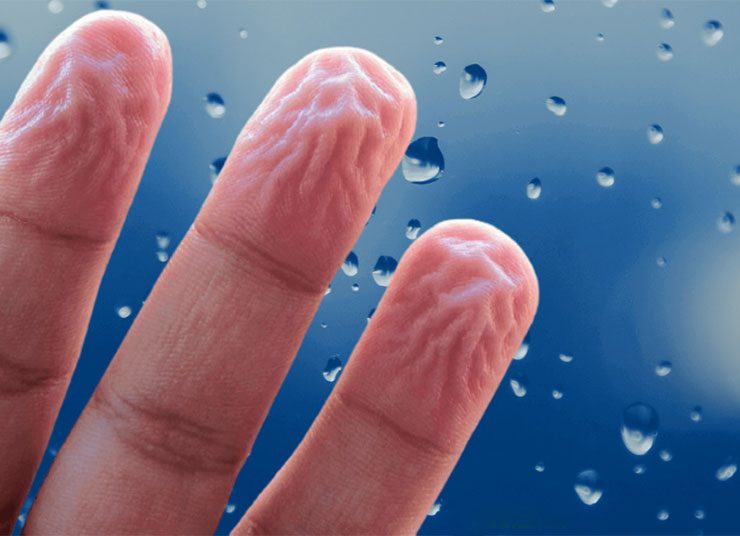 Γιατί ρυτιδιάζουν τα δάχτυλά μας στο νερό; Τι δείχνει για την υγεία μας;