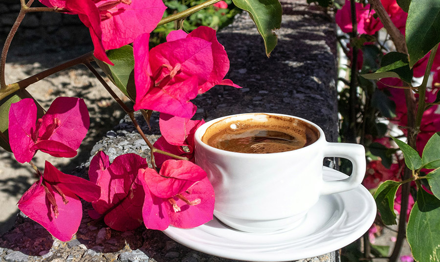 ©ALEXANDRA TORRO / UNSPLASH