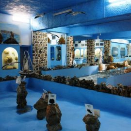 Επιβάλλεται μια ξενάγηση στο Μουσείο Θαλασσίων Ευρημάτων Βαλσαμίδη
