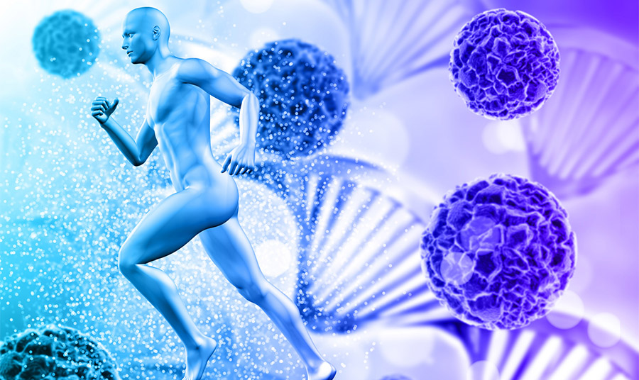 Βραβείο Νόμπελ Ιατρικής: Πώς ένας κρυμμένος στρατός στο σώμα μάς κρατά ζωντανούς – και θεραπεία του καρκίνου