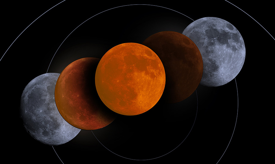 Illustration by John DiJulio, Virginia University Communications