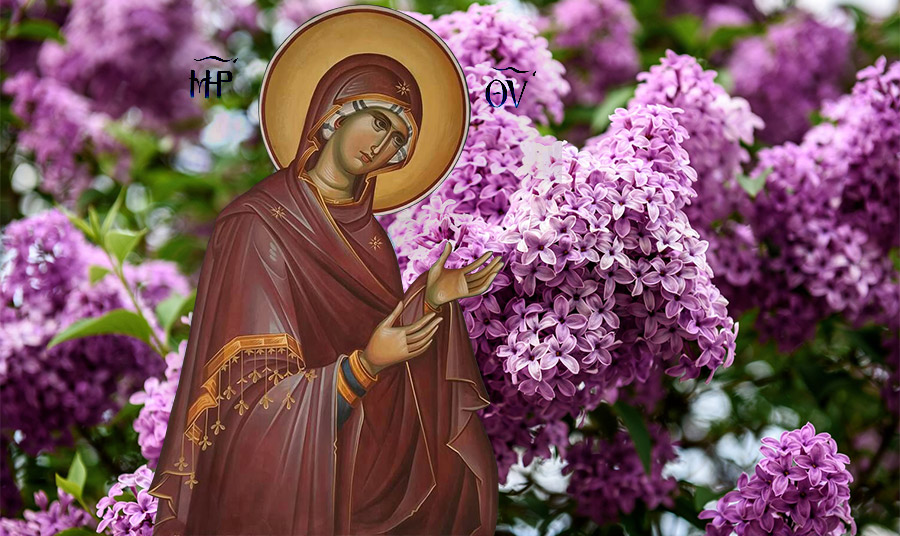 Ποια είναι η σχέση της πασχαλιάς με την Παναγιά;