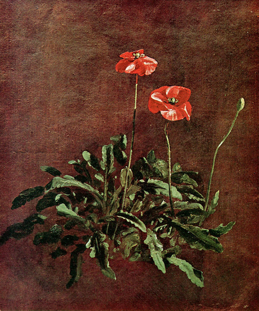 «Study of poppies», John Constable, περίπου το1832, Victoria and Albert Museum, London, UK PHOTO WIKIMEDIA