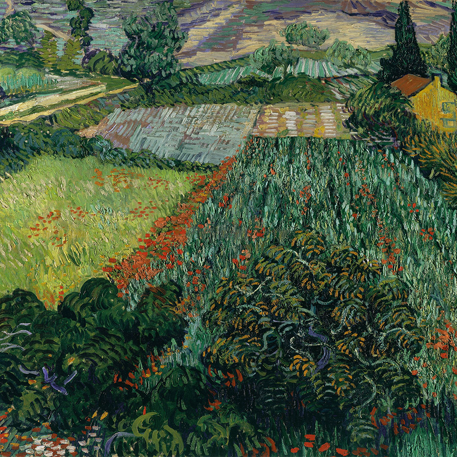 «Λιβάδι με παπαρούνες», Vincent van Gogh, 1889, Kunsthalle Bremen, Γερμανία PHOTO WIKIMEDIA
