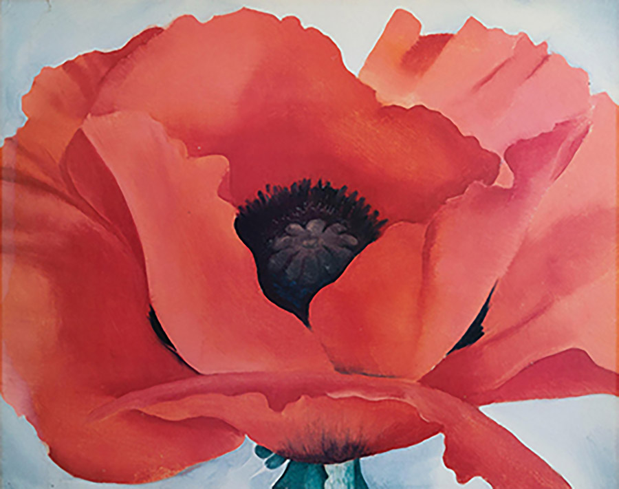 «Κόκκινη παπαρούνα» (Red Poppy), 1927 της Αμερικανίδας ζωγράφου Georgia O'Keeffe PHOTO DALLAS MUSEUM ART 