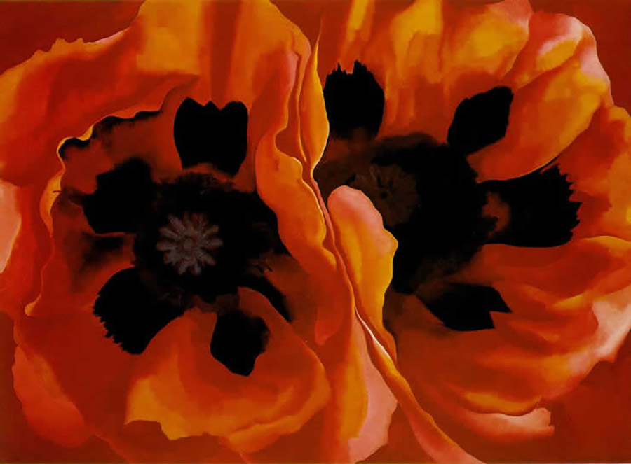 «Ανατολίτικες παπαρούνες» (Oriental Poppies), 1928, Georgia O'Keeffe, Weisman Art Museum, Minneapolis, PHOTO WIKIMEDIA