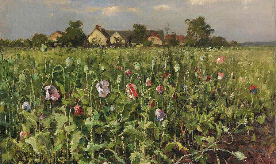 Αναπαραγωγή του πίνακα «Οι ανθισμένες παπαρούνες» (Bluhender Mohn) του Julius Sergius Klever, Truly Art 