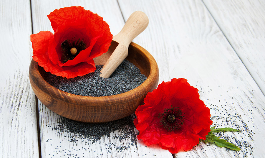 Παπαρουνόσπορος: Μικροσκοπικός αλλά θαυματουργός!