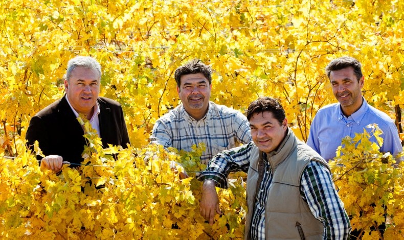 Τα τέσσερα αδέρφια με φόντο τους αμπελώνες της οικογένειάς τους στο San Zeno di Colognola ai Colli στην περιοχή Valpolicella, η οποία παράγει τα διασημότερα κρασιά στη Βερόνα