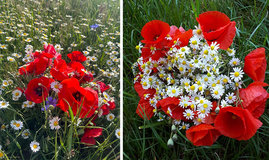 PHOTOS VIA PINTEREST 