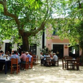 Στην πλατεία του Λαύκου, για καλό φαγητό στη σκιά των πλατάνων