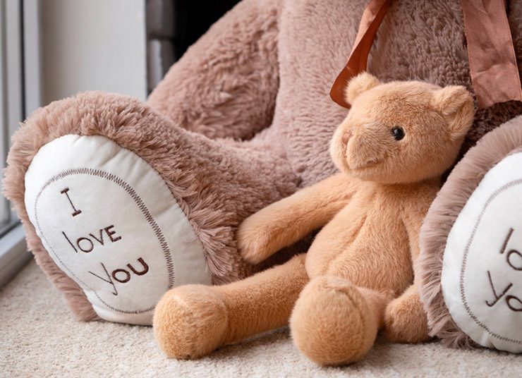 Ο απόλυτος οδηγός για το πλύσιμο και τη φροντίδα των λούτρινων παιχνιδιών