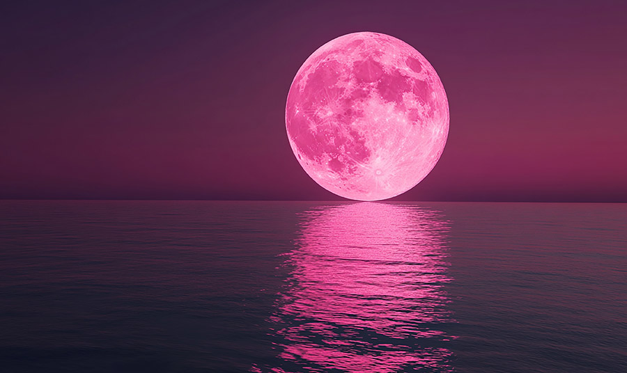 ©FREEPIK