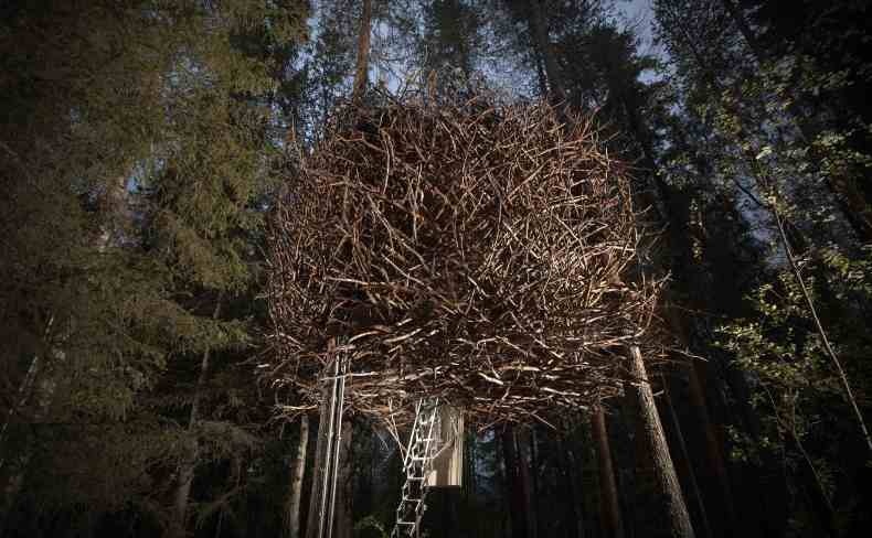 Το «Bird?s Nest», μια πραγματική «φωλιά» από κλαδιά που ενσωματώνεται πλήρως μέσα στα δέντρα
