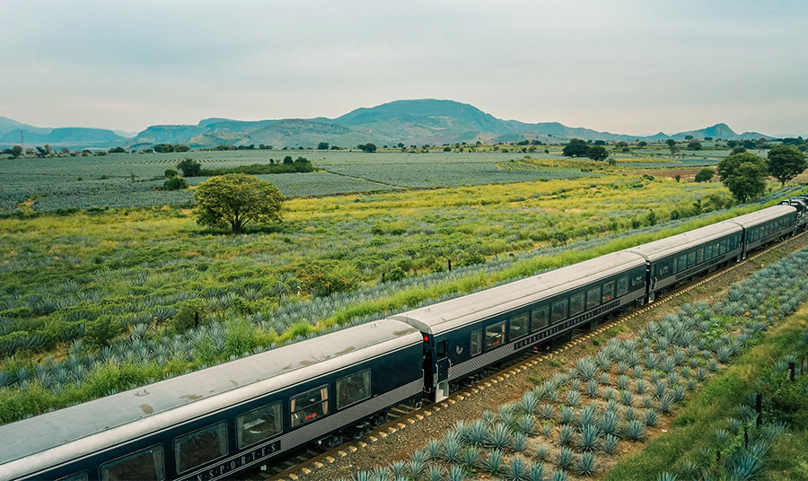 Tequila Express Train: Πίνοντας τεκίλα… με προορισμό το «Μαγικό Χωριό»