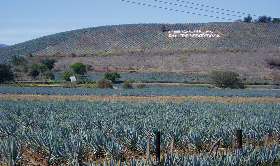 PHOTO WIKIPEDIA