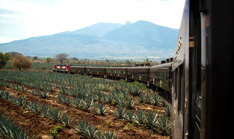 PHOTO WIKIPEDIA TEQUILA EXPRESS