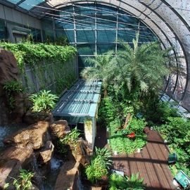 Βοτανικός κήπος στον τερματικό σταθμό 3 του αεροδρομίου, που διαθέτει περισσότερα από 200 είδη φυτών και πεταλούδων!