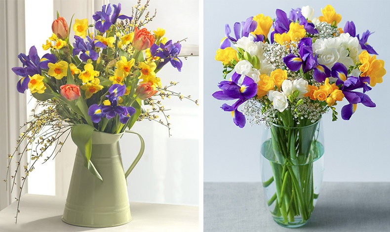 Κίτρινα λουλούδια και μοβ ίριδες! Συνδυάστε τα δύο χρώματα της φετινής μόδας και στα βάζα σας!