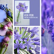 Το Very Peri… στον κόσμο των λουλουδιών