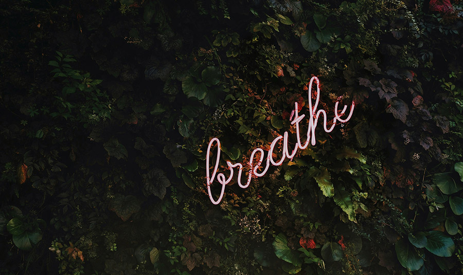 ©UNSPLASH
