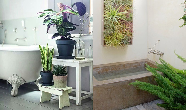 Αν έχετε χώρο, χρησιμοποιήστε επιπλάκια με διαφορετικά φυτά σε σχήμα και όγκο // Φυτά σαν πίνακας ζωγραφικής